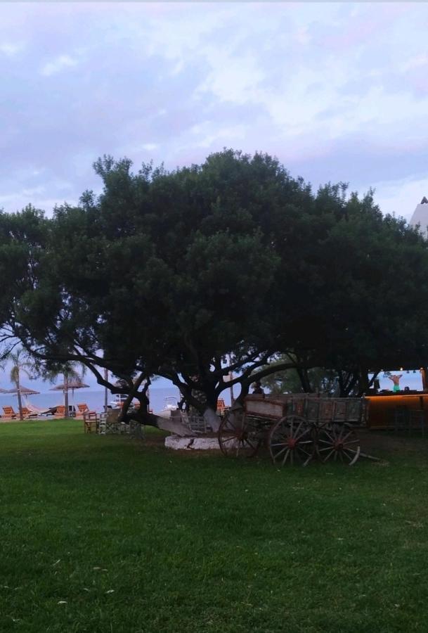 Ariti Luxury Apartment, Nikiana Esterno foto